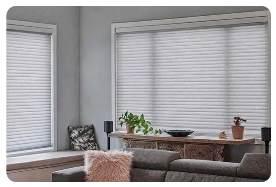 Window Blinds